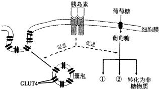 光亮剂与塑料涂料配方设计的主要问题是什么原理