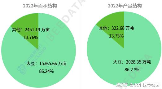 一次性拖鞋市场分析与运营策略