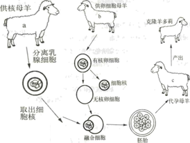 一氧化氮检测设备，现代工业与健康领域的重要支柱