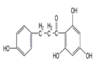 其他助剂的英文及其应用领域