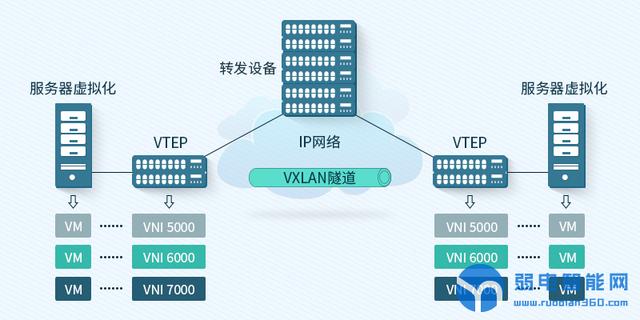 网络工程通信工程区别